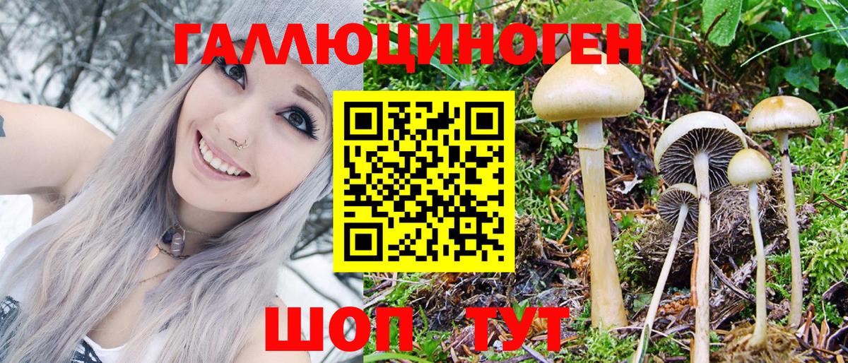 Галлюциногенные грибы Magic Shrooms Новокубанск
