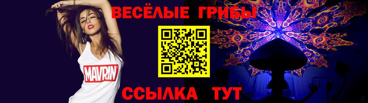 Галлюциногенные грибы прущие грибы  Вход с VPN  Новокубанск 